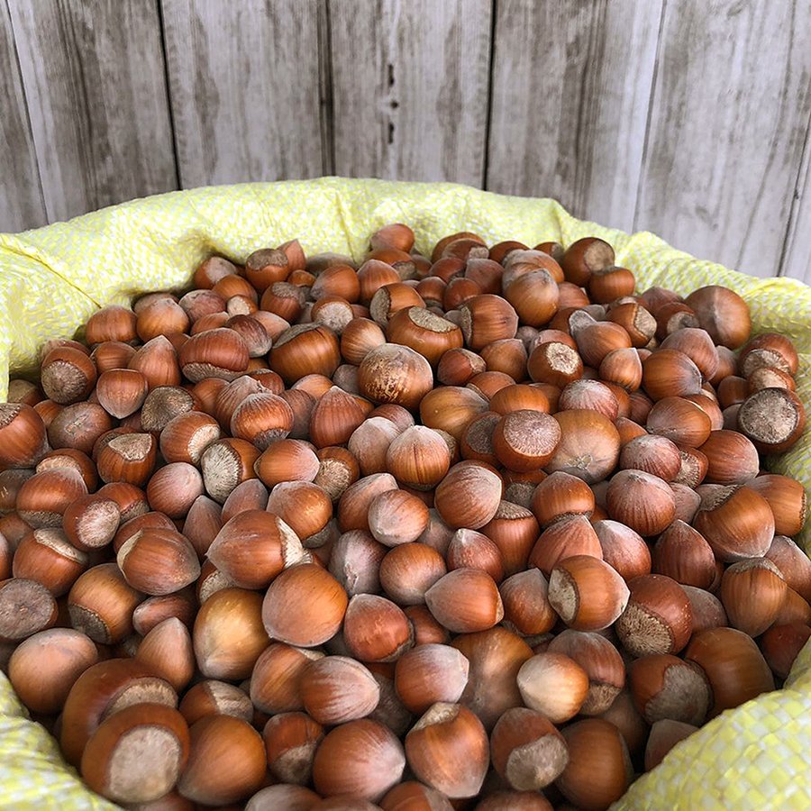 Kabuklu Fındık 1Kg