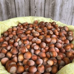 Kabuklu Fındık 1Kg