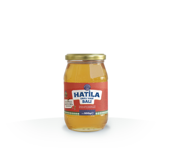 Hatila Saklı Vadi Balı 500g