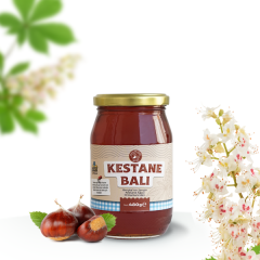 Kestane Balı 480gr Süzme