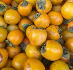 Taze Artvin Hurması 3 Kg