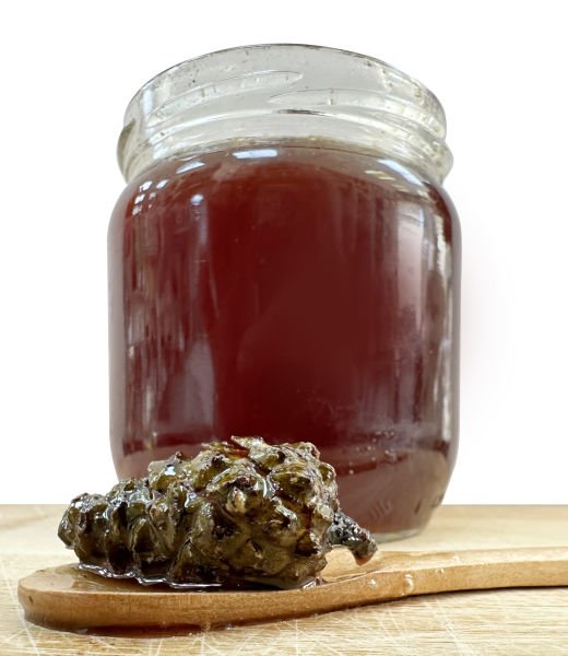 Çam Kozalağı Pekmezi 450gr